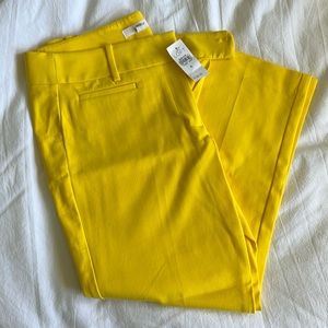 Loft cropped pant